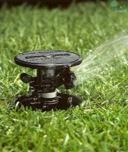 Các loại hệ thống phun tưới phổ biến: phun mưa, phun sương, nhỏ giọt