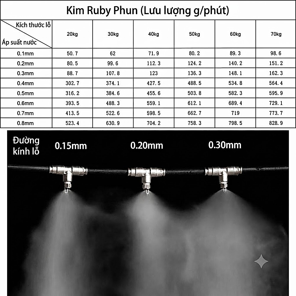bec-ruby-catalog-vn-1000