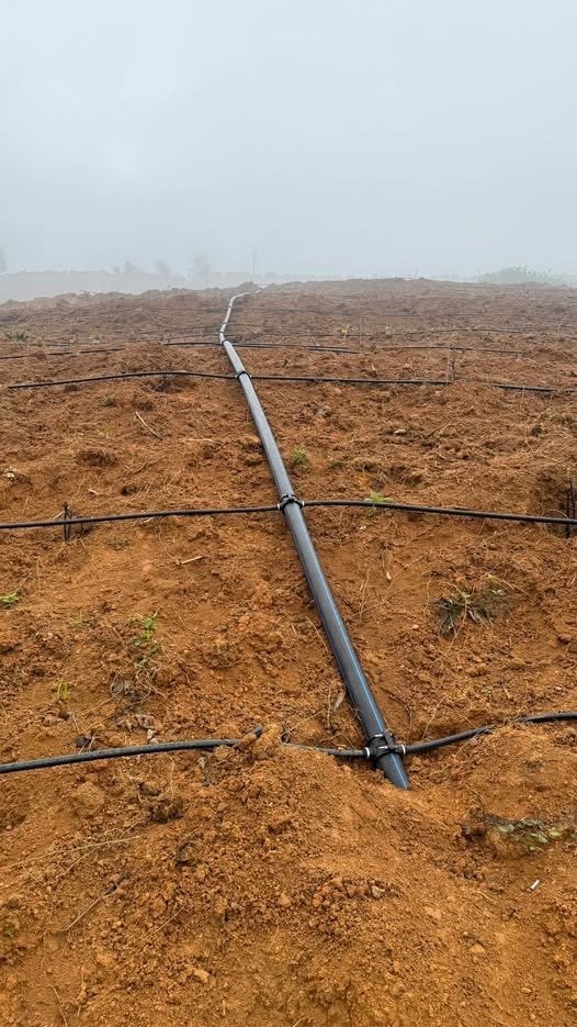 Đai khởi thủy HDPE gắn trên tuyến ống tưới ngoài vườn đồi